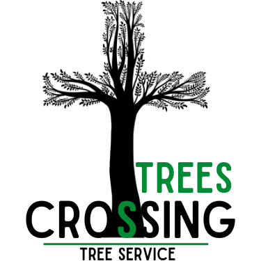 Trees Crossing Tree Service